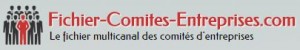 fichier-comites-entreprises